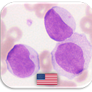 Hematology Quiz Questions 🔬 APK