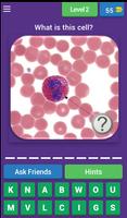 Hematology Quiz capture d'écran 2