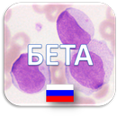 Hematology Quiz .ru 🔬 aplikacja