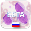 Hematology Quiz .ru 🔬 APK