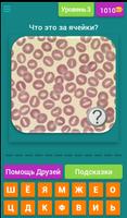 Hematology Quiz .ru تصوير الشاشة 3