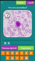 Hematology Quiz .ru الملصق