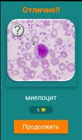 Hematology Quiz .ru تصوير الشاشة 1