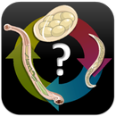 Parasitology Quiz Questions 🔬 aplikacja
