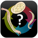 Quiz de parasitología APK