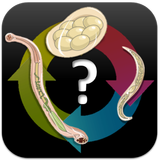 Parasitology Quiz icône