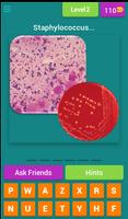 Microbiology Quiz Questions 🔬 screenshot 2