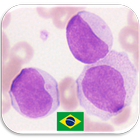 Questionário de Hematologia biểu tượng