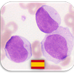 Quiz de Hematología 🔬