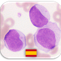 Quiz de Hematología 🔬