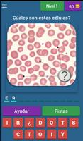 Quiz de Hematología ポスター