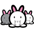 Breeding Bunnies!