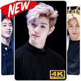 Mark Tuan Got7 Wallpaper HD icône