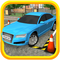 Ace Parking 3D
