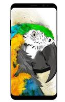 Parrot Wallpaper HD (2018-2019) Affiche