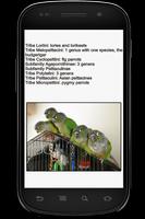 Parrot Info Book 스크린샷 2