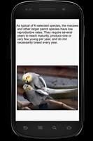 Parrot Info Book Screenshot 3