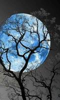 Beautiful Moons HD Wallpapers, Backgrounds, Themes Affiche