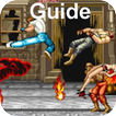 ”Guide for Final Fight