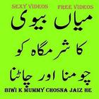 Aurat K Mumy Chosna Jaiz Video icône