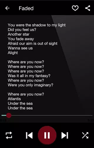 Alan Walker's Lyrics