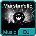 Marshmello Best Songs & Lyrics icon