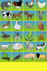 Talking Animals APK download