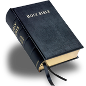 Daily Bible icon