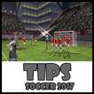 Dream League Soccer 17 Tips