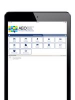 AEO Conference Screenshot 3