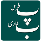 Patras Bukhari (Urdu) ícone