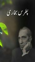 Patras Bukhari (Urdu) Cartaz