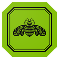Art of Patrón 360°
