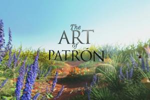 Art of Patrón 360° screenshot 1