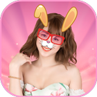 Rabbit Face icon