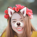 Face Photo Editor PRO APK