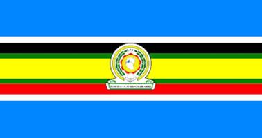 The EAC Treaty syot layar 1