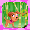 Cute Pet Run