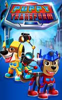 PAW Hero Transform poster