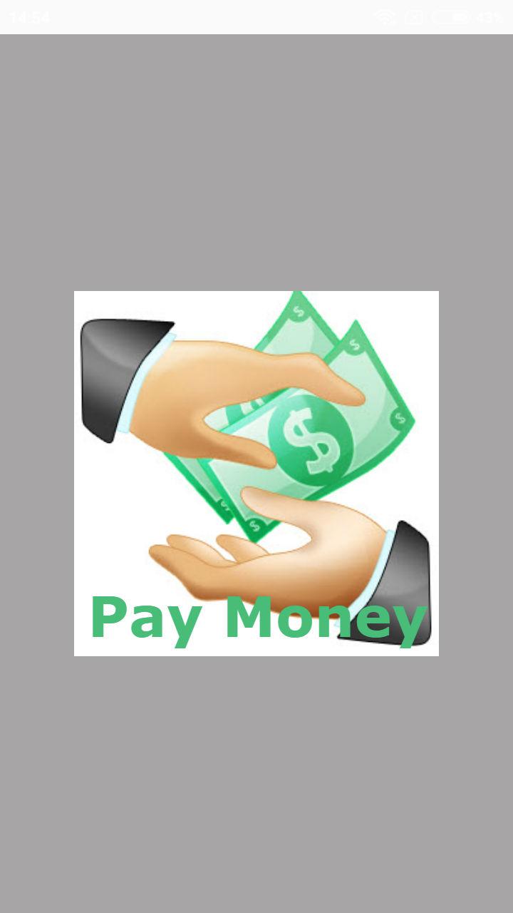 Moneypay. Money pay Турция. New pay. Логотип pay money. Newpay