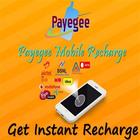 Payegee Recharge ícone