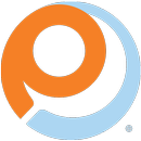 Payless ShoeSource APK