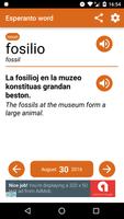 Esperanto word of the day Plakat
