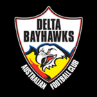 Delta Bayhawks アイコン