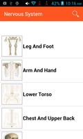 Anatomy Learning ภาพหน้าจอ 2