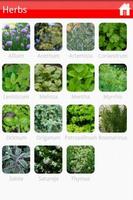 Garden Plants Growing Guide capture d'écran 1