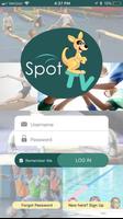 Spot TV poster