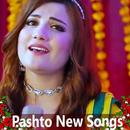 Pashto New Songs 🎧🎼📲💥💃👫🎧 APK