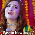 Pashto New Songs icône