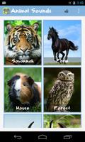 Poster Animal Family Sounds